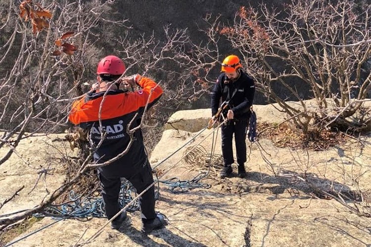 Siirt'te kayalıklarda mahsur kalan keçileri AFAD ekipleri kurtardı