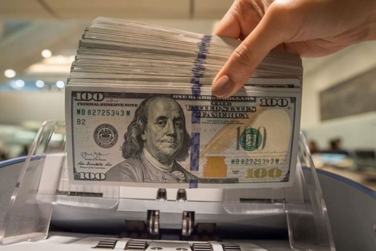 14'ü aşan dolar yeni rekor kırdı