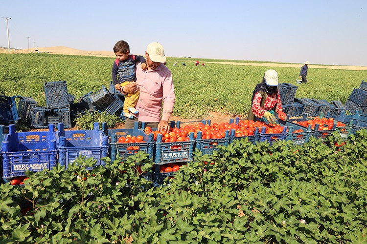 GAP sayesinde ihya oldu