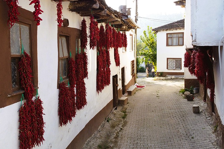 Çukurören biberinin tanıtımı için şenlik düzenlendi