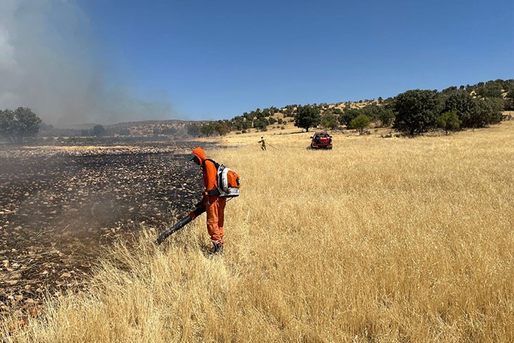 Mardin'de ormanlık alanda çıkan yangına müdahale ediliyor