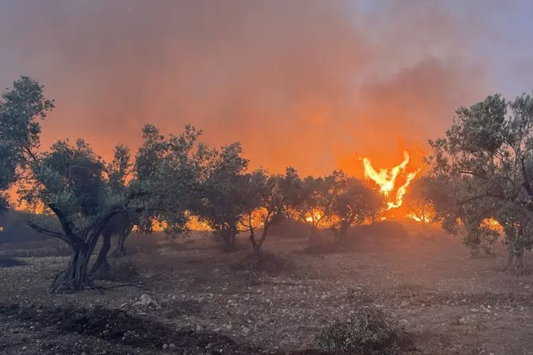 İzmir'de orman yangınları, evlerden tahliyeler başladı