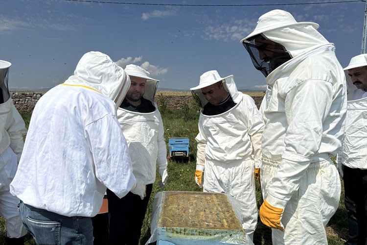 Kafkas Arısı Üretim Merkezinde bal hasadı başladı