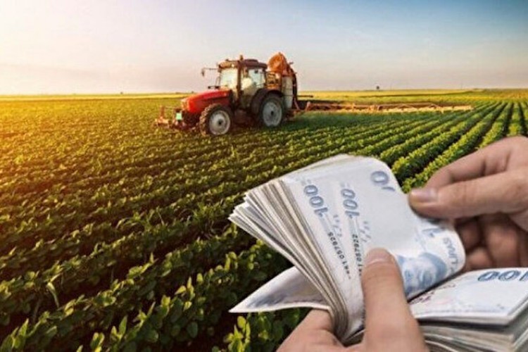 Tarım yatırımlarında üst limitler yükseltildi