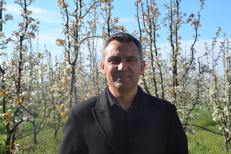 İnegöl'de bahçelerde yüksek rekolte bekleniyor