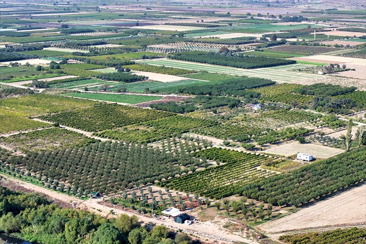 Kuraklığın etkili olduğu Ege'de çiftçiler ekim yağmurlarıyla nefes aldı