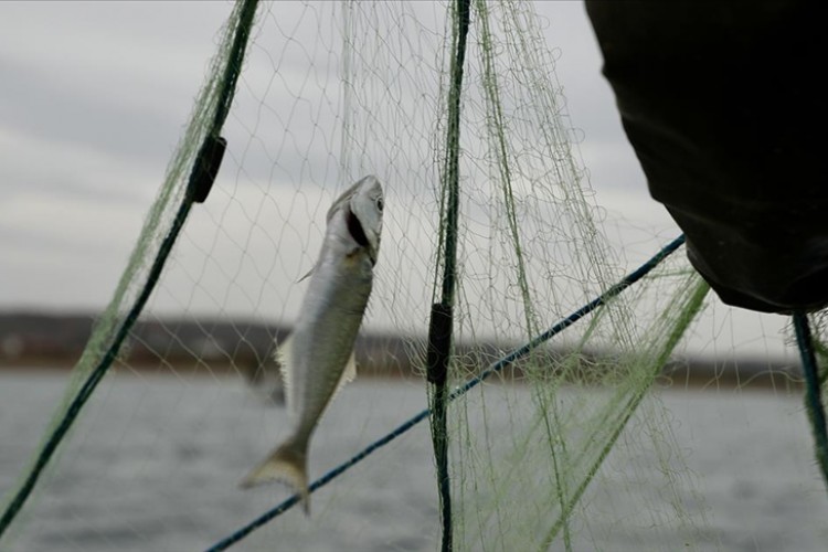 ABD, balıkçılık sübvansiyonlarının azaltılmasını onayladı