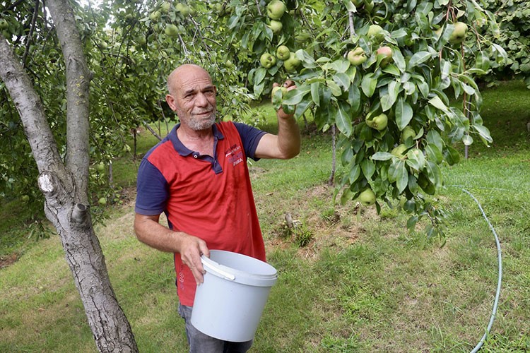 Yetiştirdiği ürünleri yoldan geçenlerle paylaşıyor