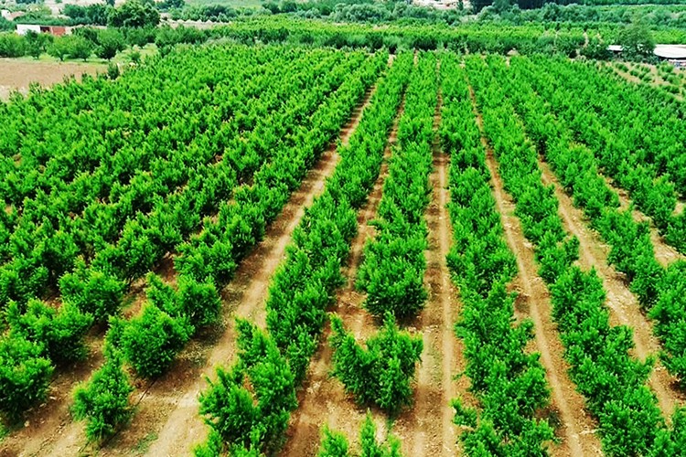 Sürdürülebilir tarım geleceği kurtaracak