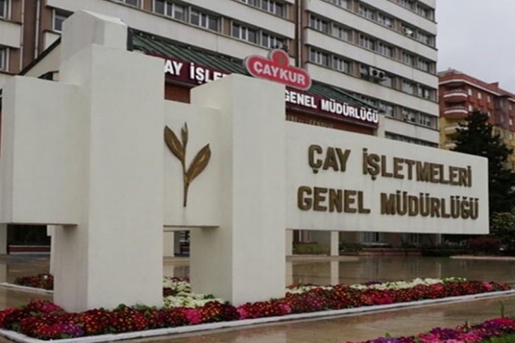 ÇAYKUR 49 fabrikasında 24 saat yaş çay alımı yapacak