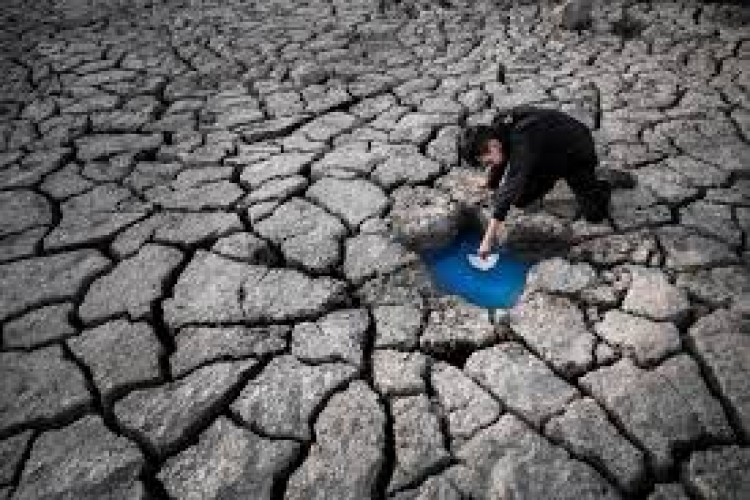İklim değişikliği İstinye Üniversitesi'nde konuşulacak