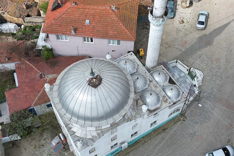Tekirdağ'da leylekler 10 yıldır aynı cami kubbesine yuva yapıyor