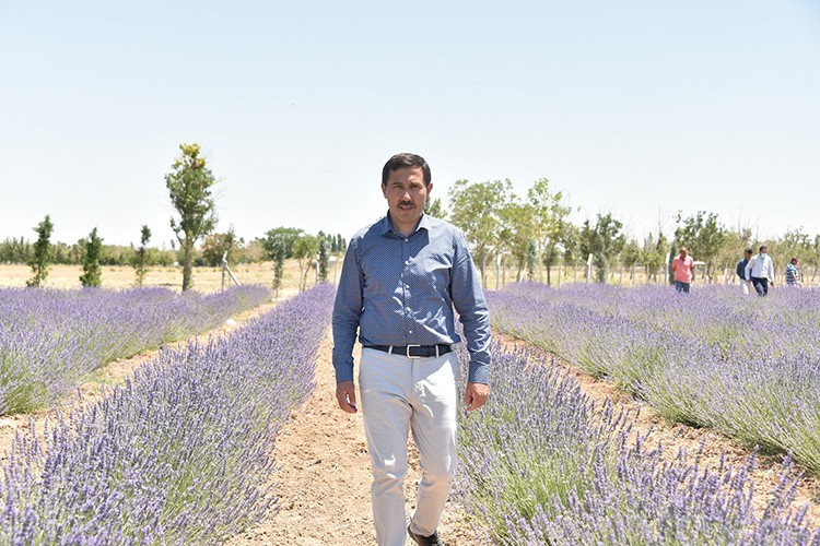 Karatay Lavanta Bahçesi 2 Temmuz'da kapılarını açıyor