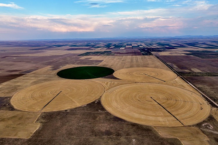 Konya'nın devasa dairesel tarlalarında hasat tamamlandı