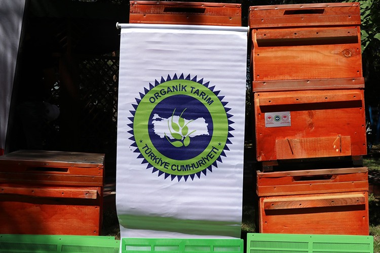 Organik bal üretimi için arıcılara kovan desteği
