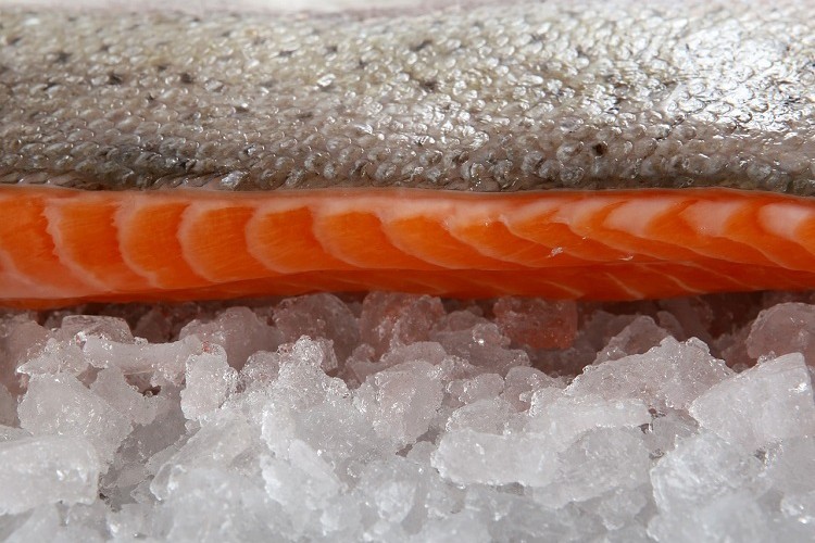 Gıdalar nasıl korunmalı?..