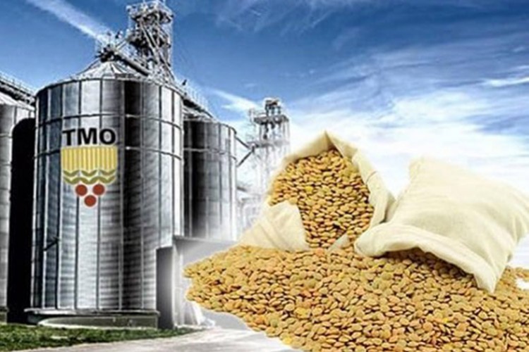 TMO buğday alım miktarını düşürdü