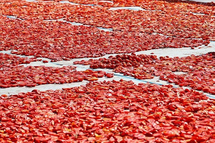 Kahramanmaraş'tan kurutulmuş domates ihracatı