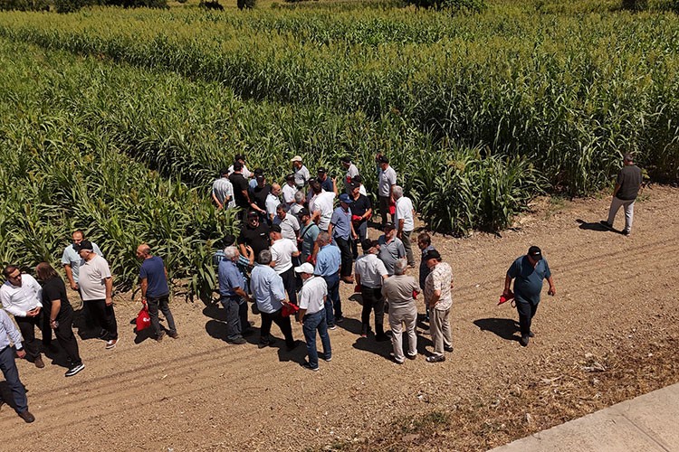 ASAŞ Yeşil Enerji'den sürdürülebilir tarıma güçlü adım
