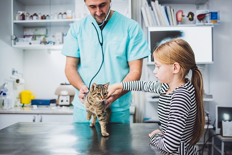 Sahipsiz Hayvanlar için Mama Desteğine Dönüşüyor