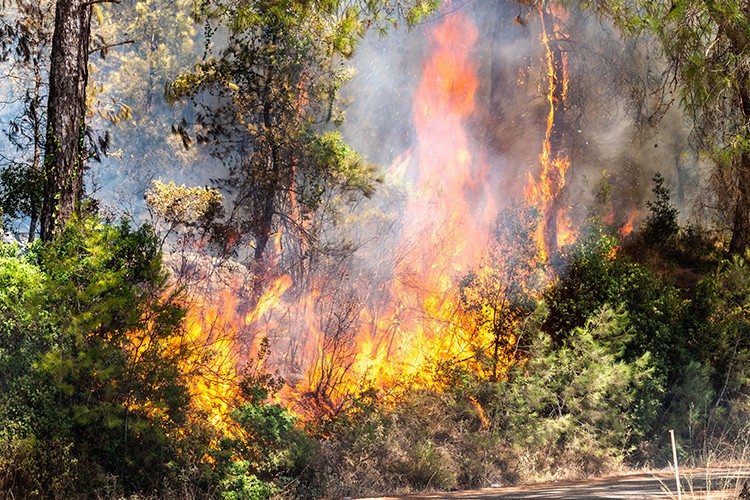 Bir kıvılcım geleceğimizi yakmasın