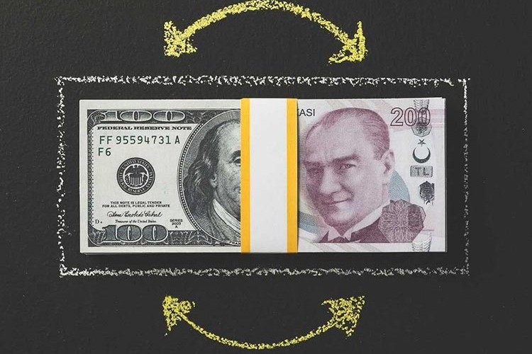 BDDK uygulamalarıyla döviz mevduatı eriyor