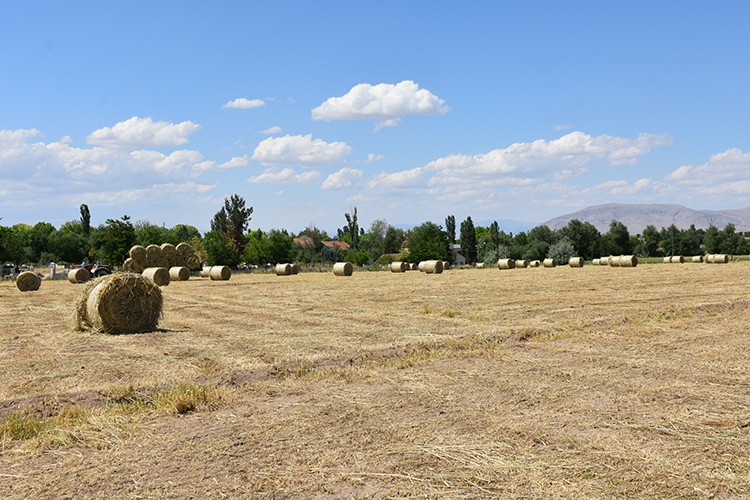 Deneme ekimi çiftçinin yüzünü güldürdü