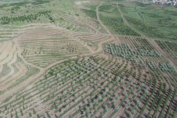 Tarım alanı kiralayacak
