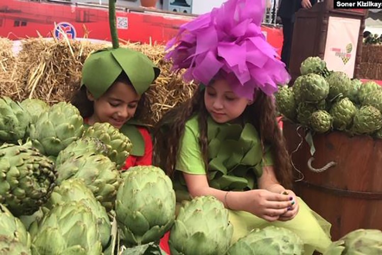 Urla'da enginar zamanı...