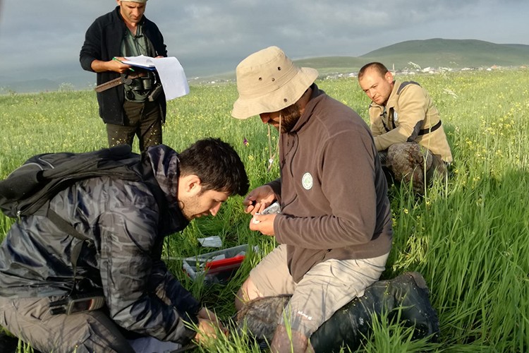 Kuş türlerine yönelik 4 koldan koruma seferberliği