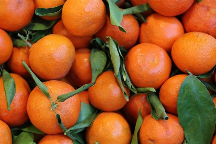 Narenciye ihracatında yılın ilk çeyreğini mandalina ve limon sırtladı