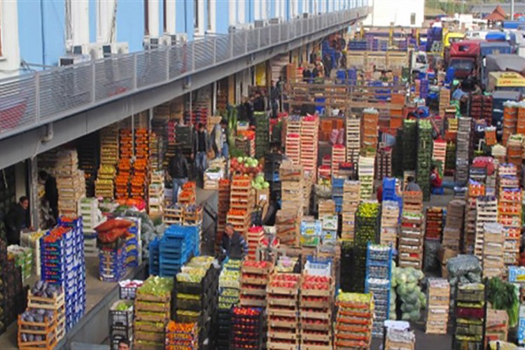 1,69 milyar dolarlık yaş meyve sebze ihraç edildi