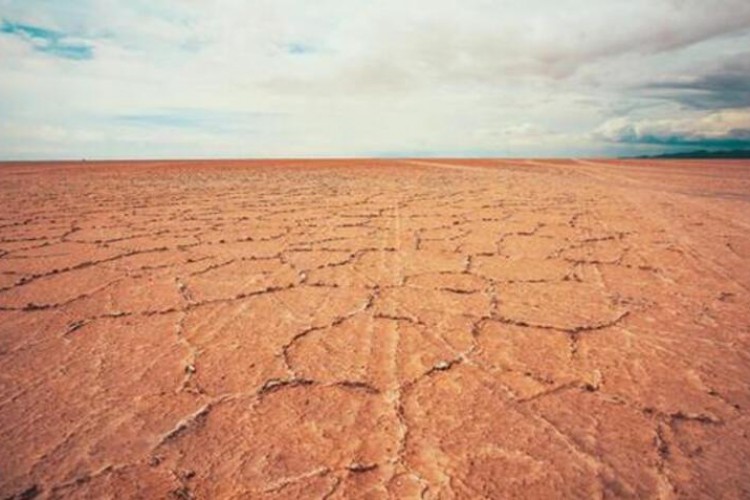 Sağlık bilimleri öğrencilerine özel konferans