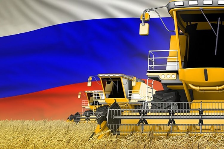 Rusya bu yıl 60 milyon ton tahıl ihraç etmeyi planlıyor