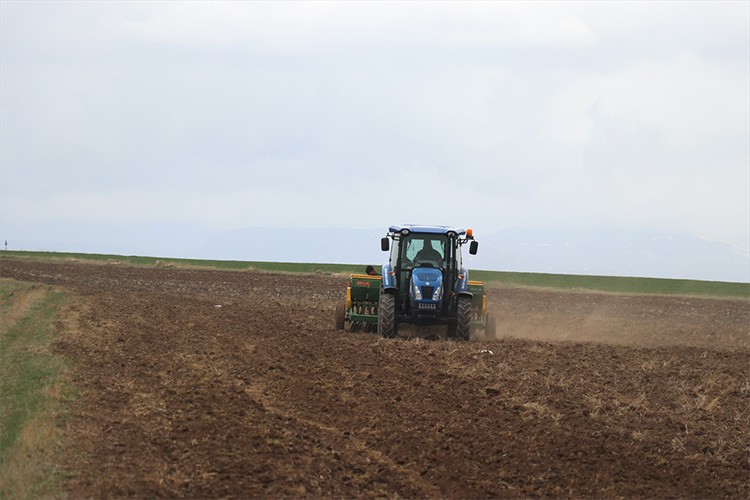 Ağrı'nın verimli ovasındaki tarlalarda ekim zamanı