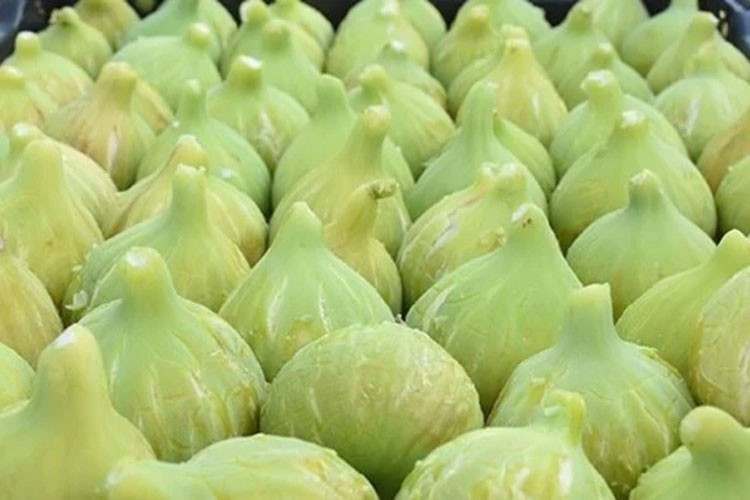 Çiftçiler, Bardakçık incirinde pazar sorununu aştı