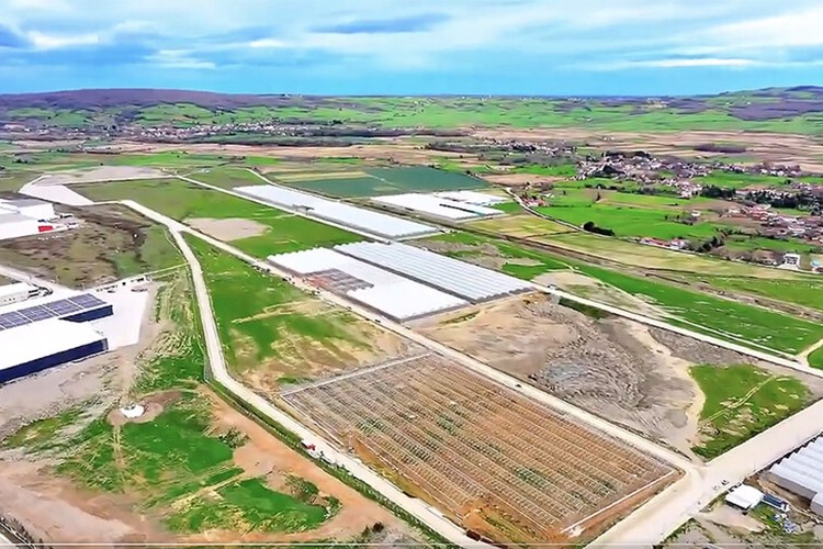 Samsun Bafra Sera OTB üretim üssü oluyor