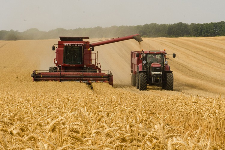 Tarım ÜFE mayısta aylık bazda yüzde 16,18 arttı