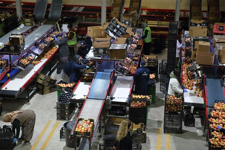 Mühendis ailenin kurduğu fabrikalardan 25 ülkeye ihracat yapılıyor