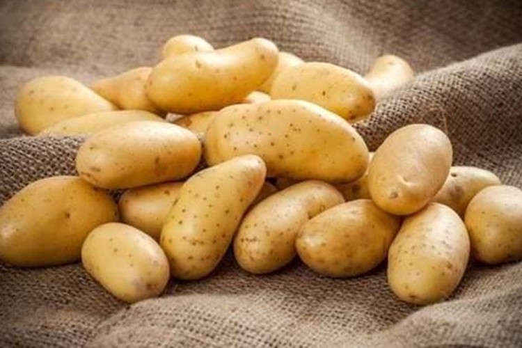 Niğşah ve Saruhan'ın satışı özel sektörde