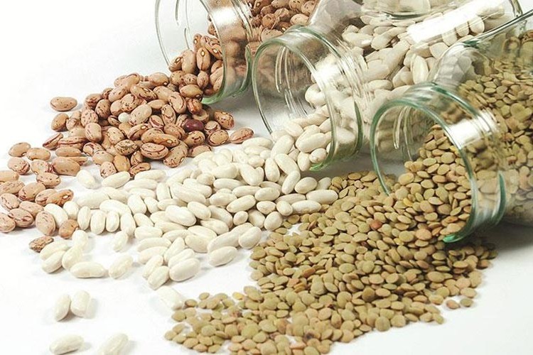 Hububat ve bakliyat ihracatında seri devam ediyor