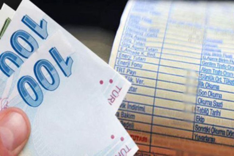 Elektrik denetimi özel şirketlere devrediliyor