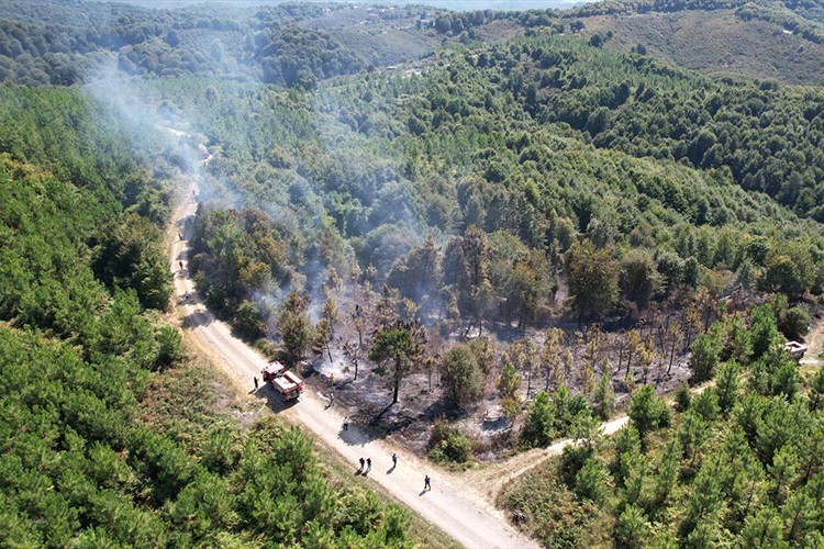 Sakarya'da ormanlık alana sıçrayan yangın kontrol altına alındı