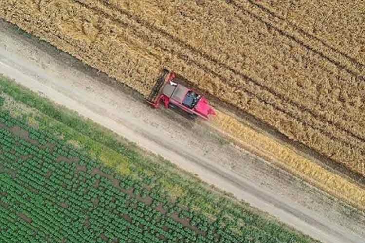 Tarım sektöründen ihracatta ilk çeyrek rekoru