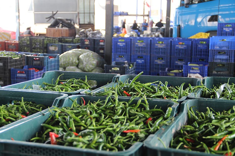 Tüketiciye ucuz sebze müjdesi