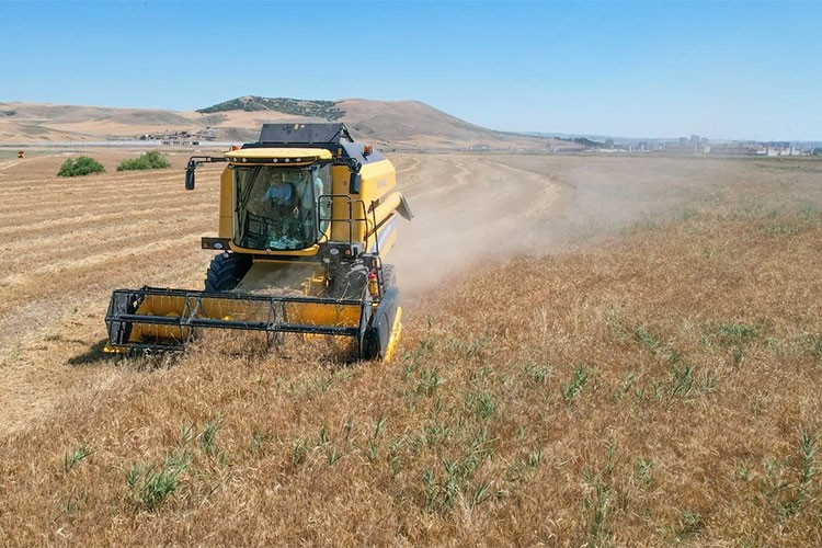 Tarım ÜFE martta aylık bazda yüzde 6,91 arttı