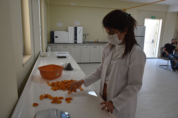 Üreticiye 9 ay faizsiz kredi imkanı sunuluyor