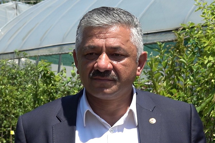 Fındık üreticilerine kahverengi kokarcayla mücadele uyarısı