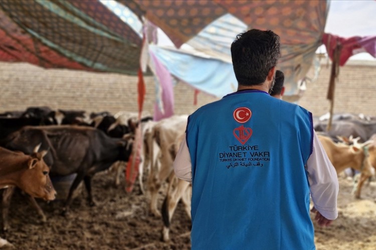 TDV, Afganistan'da 13 bin 300 hisse kurban eti dağıtacak
