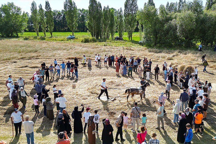 Eski tarım aletleriyle hasat yapıldı